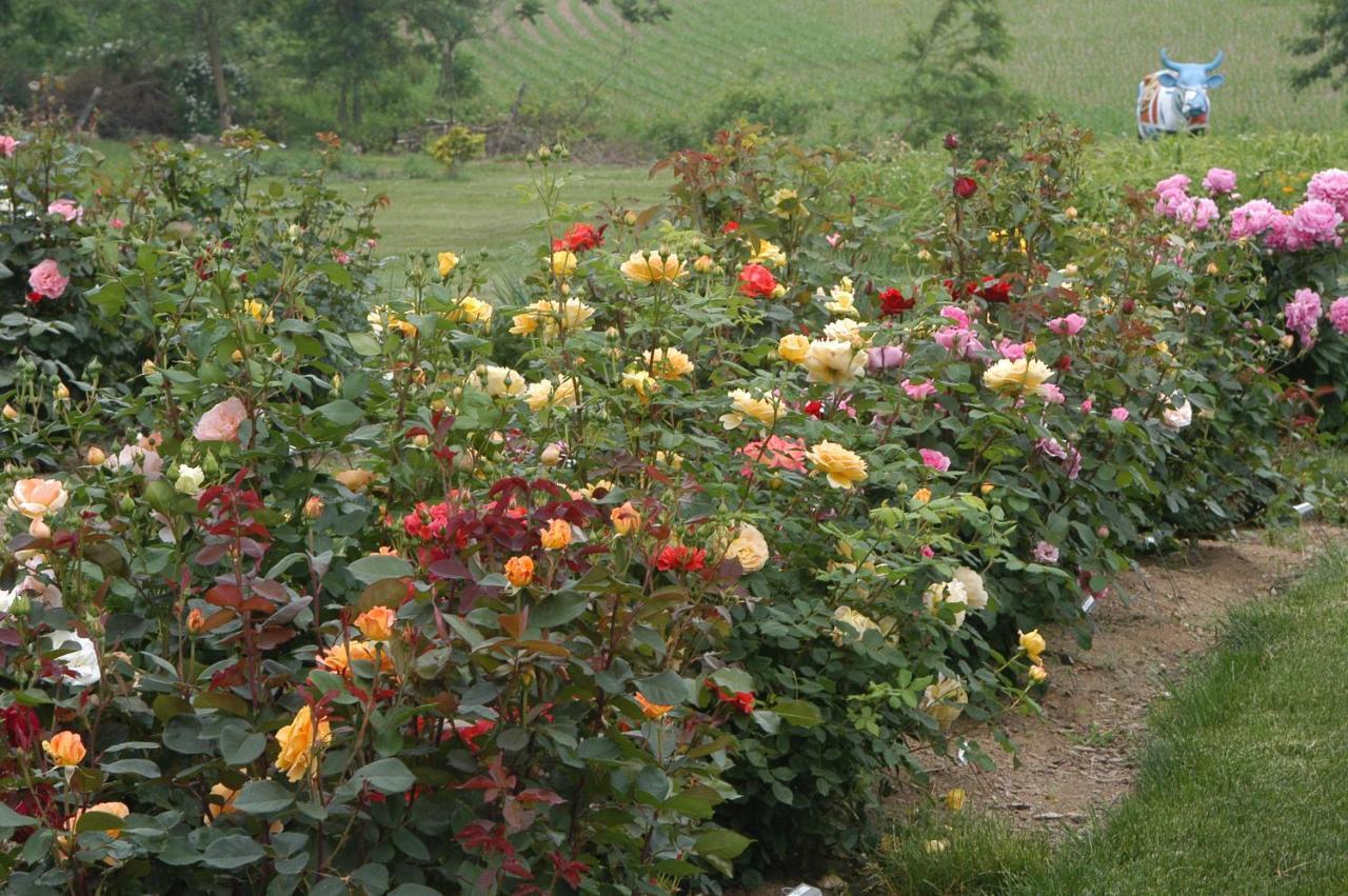 Annville Inn Bed & Breakfast Екстериор снимка